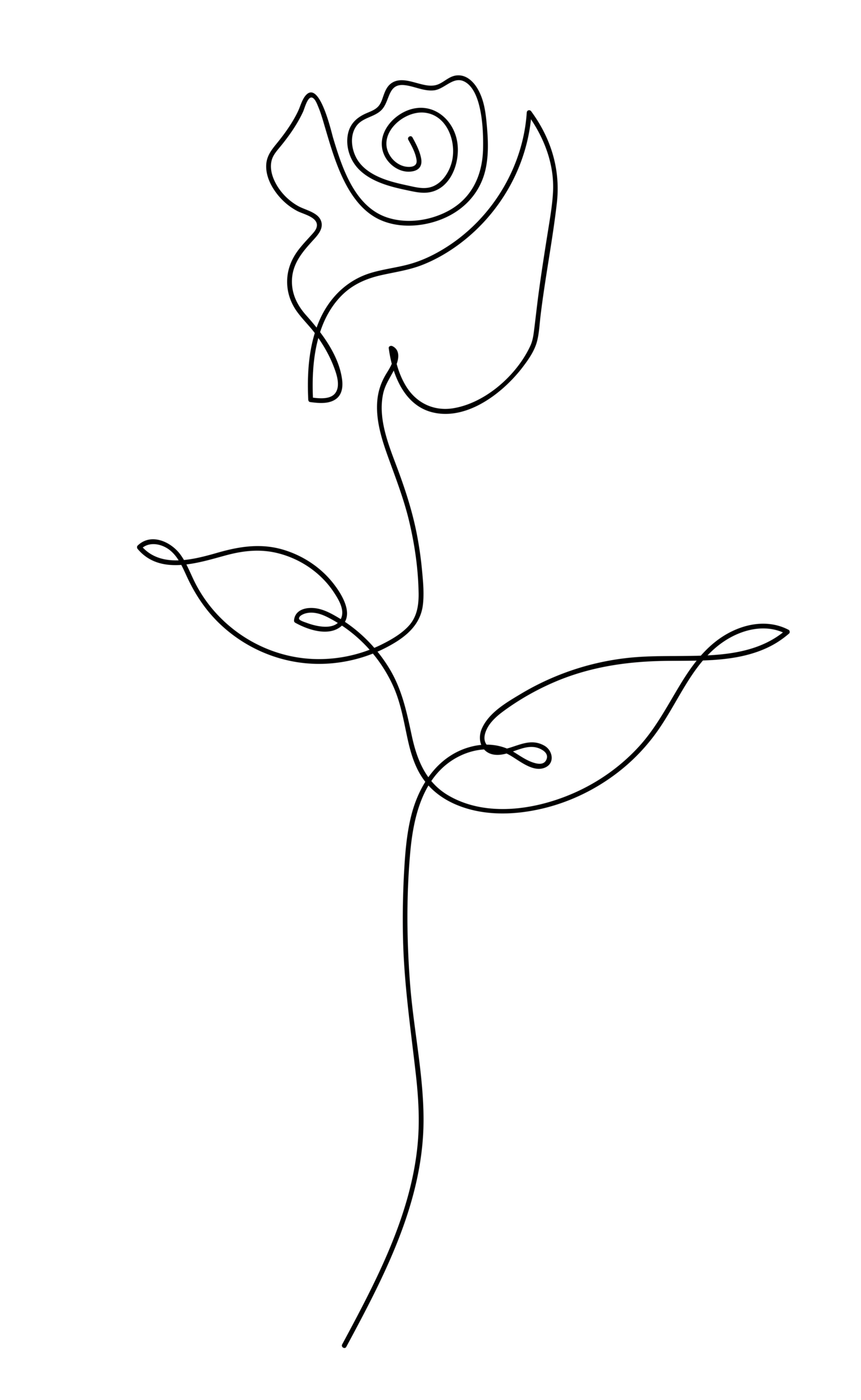 Minimalistic line drawing of a rose